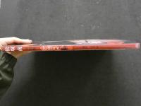 2  ８　松坂南写真集　luxury