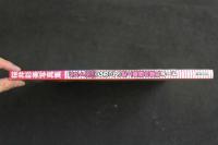 ４　5　桜井彩美写真集　バスト98cm（Gカップ）史上最強の爆乳ヌード