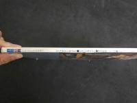 ４　大谷英子　原色の女　ピンクサロンホステス●ビニール本モデル●男性経験一千人弱●発射ペニス一万本余