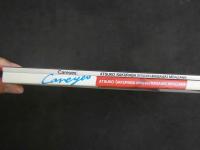 ４　桜庭あつこ写真集　Careyes