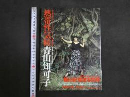 ４　青山知可子　熱帯性気候