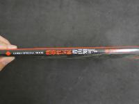 ４　青山知可子　熱帯性気候