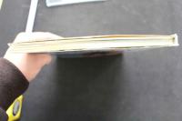 7　マイディアステファニー　武田久美子写真集