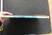 7　マイディアステファニー　武田久美子写真集