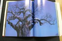 7　金沢靖写真集　ライオンが見ていた　愛のある風景