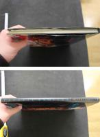 7　PACIFIC EXOTICA　MISEKI LIU