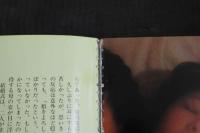 ４　SEX LOVE白書　恋人たちに捧げる愛の手引書