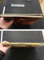 7　amour 撮影　川島文行