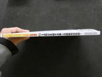 ８　5　MPEG INDIE'S2000　エムペグ・インディーズ　Vol.2　2000年8月　CD2枚付