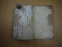 眼目門　色彩図