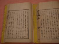 窒扶斯(チフス)新論