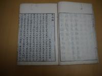 飲病論