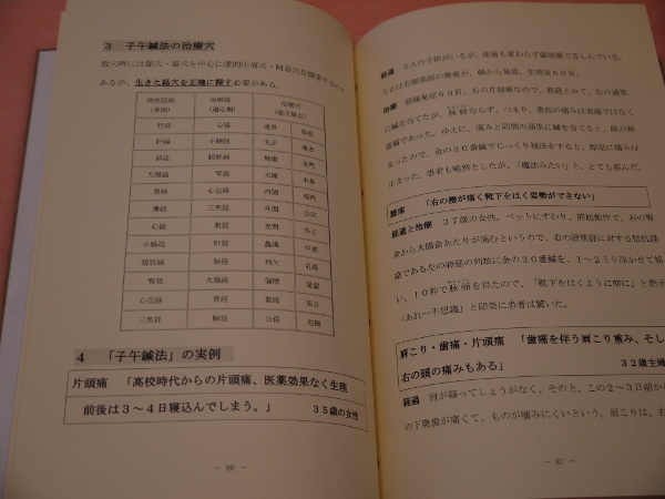 脉診流 氣鍼医術 鍼術指南極意(葛野玄庵) / 古本、中古本、古書籍の 