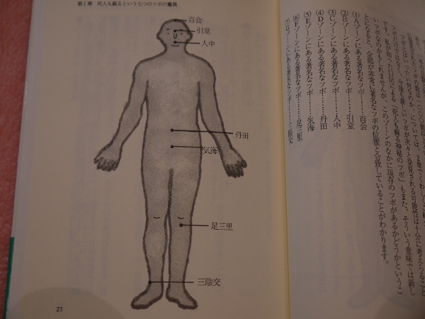 チーゾーンの極意 死人も蘇る神秘のツボ(鈴木丈織) / 古本、中古本、古