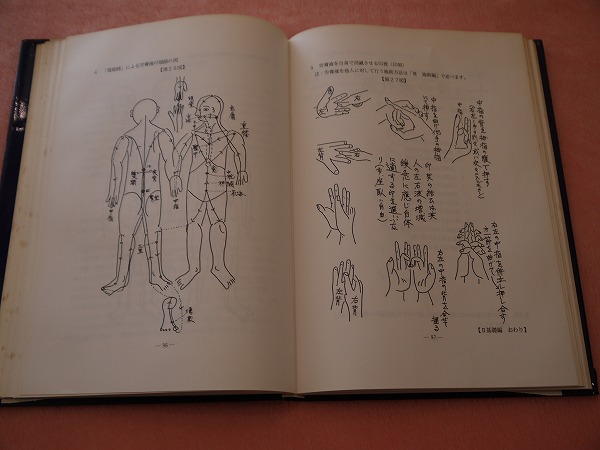 仁神術―創始者村井次郎師とその研究 気液流動促進法 | 加藤春樹 (著