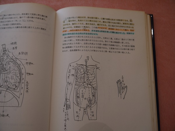 仁神術―創始者村井次郎師とその研究 気液流動促進法 | 加藤春樹 (著