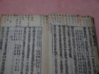 奇経八脉　本草綱目付　