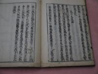 奇経八脉　本草綱目付　