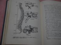 カイロプラクチックの理論・応用・実技　