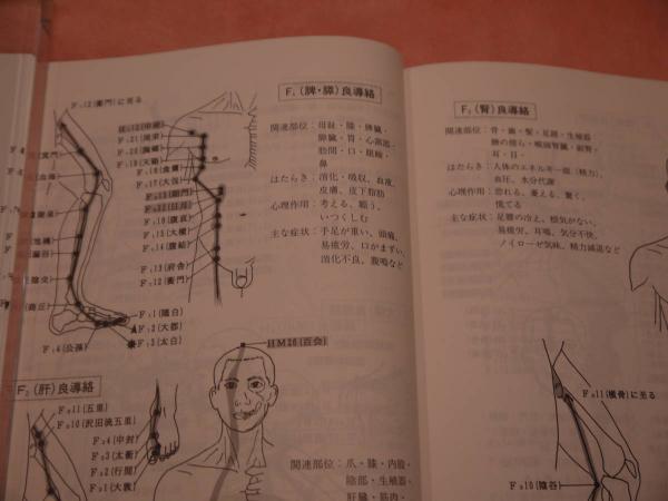 良導絡自律神経調整療法 基礎編 / 古本、中古本、古書籍の通販は