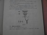 皮電計診断の実技　内臓・汚れ、皮膚血管ｈ反射　