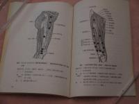 膝痛の鍼灸臨床　徒手検査による病態観察を主として　　
