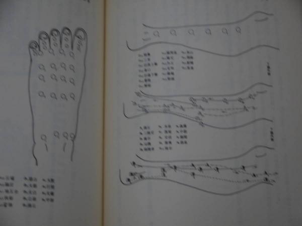 改訂 図解による 経絡・経穴と指圧療法 447P(井沢正著) / 古本