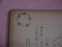柳川一流　鍼灸秘伝　全　孔版　１冊　