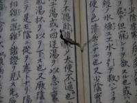 古方節義　上下巻　中巻欠　２冊