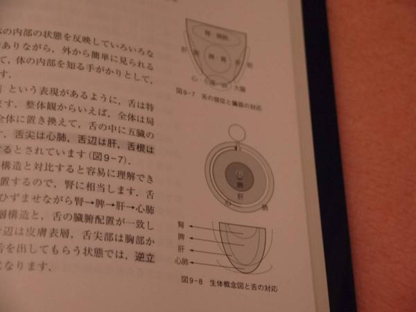 【早い者勝ち！】標準東洋医学 中古標準東洋医学 いちばんわかりやすい東洋医学の基本講座