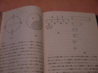 東洋医学入門　古典医学の現代的アプローチ　漢方篇　２４５P　