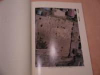 佐久市埋蔵文化調査報告書　第７０集　岩田村遺跡群　観音堂遺跡　２０１P　
