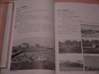 佐久市埋蔵文化調査報告書　第７０集　岩田村遺跡群　観音堂遺跡　２０１P　