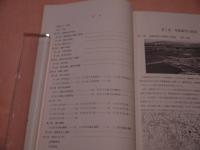 佐久市埋蔵文化調査報告書　第７２集　市道遺跡Ⅱ　　５８P　