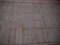 大東宝鑑　４２×９４cm　木版刷り　１枚　