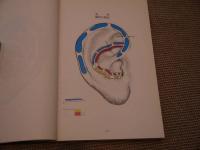 P.ノジエ 耳介反射点便覧 257P(PAUL F.M NOGIER(著) ) / 古本、中古