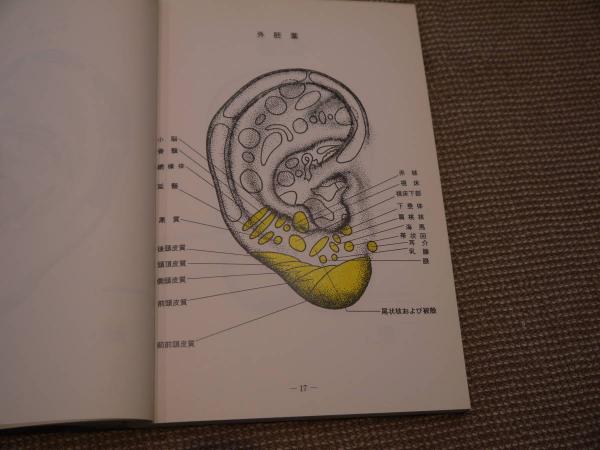 【裁断済み】P.ノジエ 耳介反射点図鑑 P.ノジエ 耳介反射点便覧 257P(PAUL F.M NOGIER(著) ) / 古本、中古