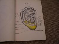 【裁断済み】P.ノジエ 耳介反射点図鑑 P.ノジエ 耳介反射点便覧 257P(PAUL F.M NOGIER(著) ) / 古本、中古