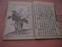 漢画指南　明治後刷　乾坤　刊本　全２冊