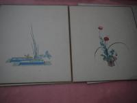 嵯峨流手本　華道画譜色紙　彩色木版刷り　１７枚　約２７×２４cm　