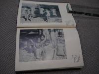 東印度諸島の怪奇と藝術　２５６P　　
