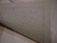 彩華　図版だけを合本　５００図　３７．５×２６．５cm　彩色木版図多数　８冊　