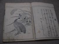 画品筆鋒　六巻補遺　