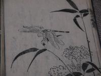 画品筆鋒　六巻補遺　