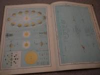 教科摘要　世界新地図　