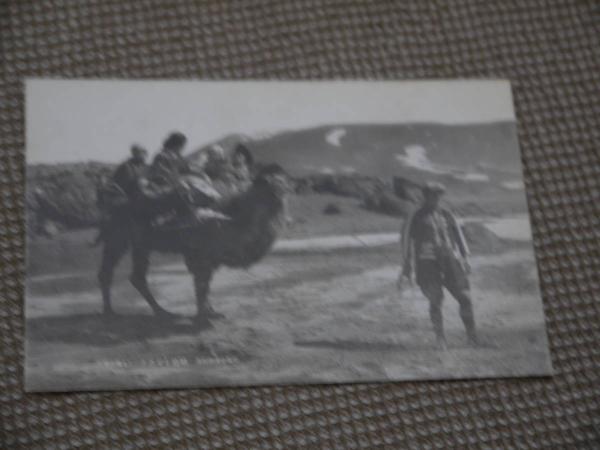 【★安心の定価販売★】 御神火由来 三原山 戦前絵葉書③ 7枚 1枚 内パノラマ写真 絵葉書