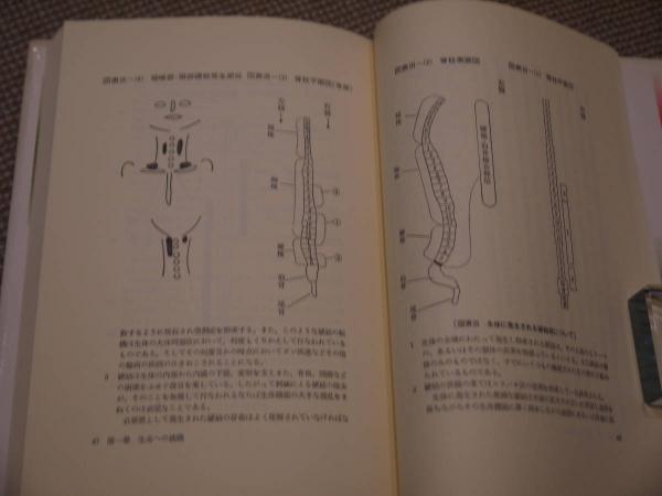 石坂流鍼術の世界 鍼からみた現代の生命　町田栄治 編著 石坂流鍼術の世界 : 鍼からみた現代人の生命(町田栄治 編著