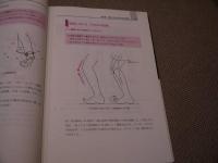 過労性構造体医学　－新しい固定理論でからだを治すー　２９４P　