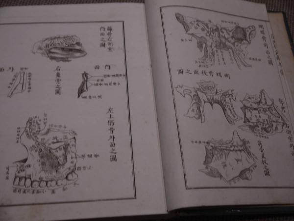 官許虞列伊氏解剖 訓蒙図 99丁 洋装本 1冊蒙(松村矩明 官許虞列伊氏解剖 訓蒙図 99丁 洋装本 1冊蒙(松村矩明