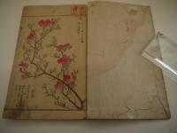 写生画譜　木花之部　銅版彩色刷り　１冊